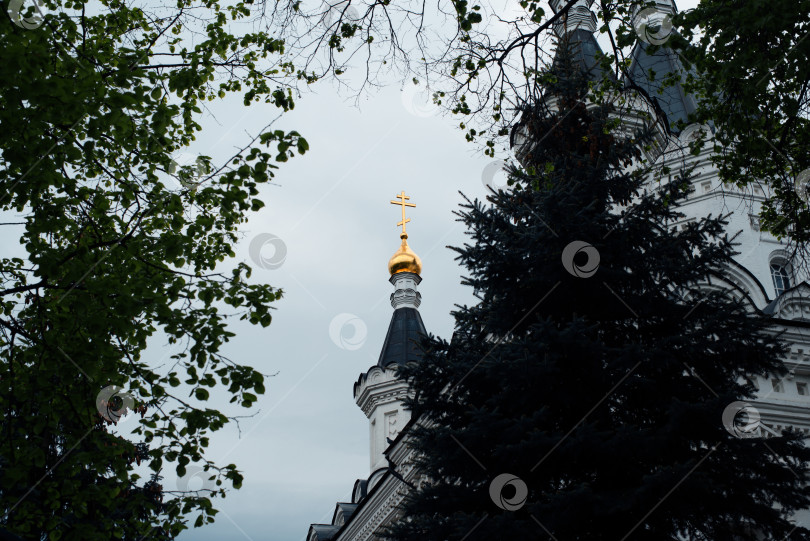 Скачать Золотой купол православной церкви с крестом в естественном обрамлении из веток деревьев, на открытом воздухе фотосток Ozero