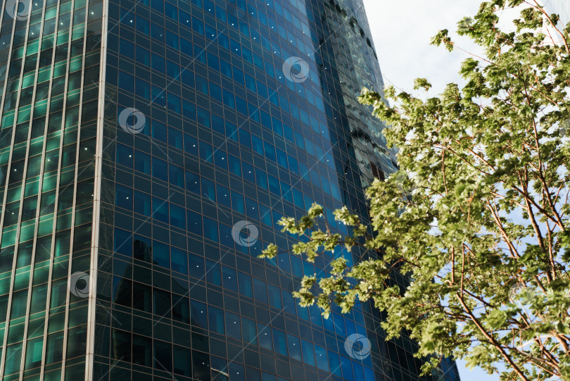 Скачать Внешний вид бизнес-центра, современного стеклянного здания-небоскреба на открытом воздухе. Крупный план финансового офиса снаружи фотосток Ozero