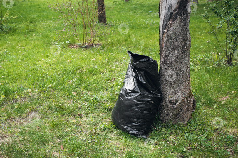 Скачать Мешок для мусора возле дерева на зеленой лужайке днем, на открытом воздухе. Окружающая среда, экологическая концепция фотосток Ozero