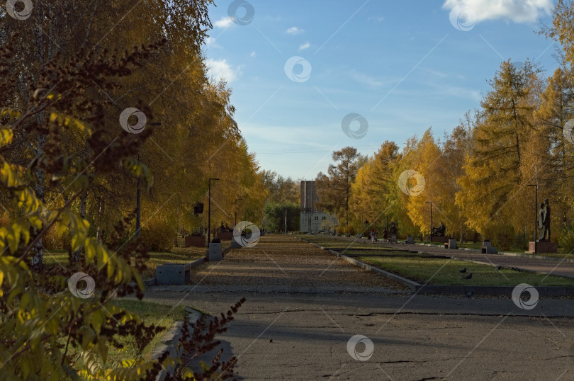 Скачать Осенняя парковая аллея фотосток Ozero