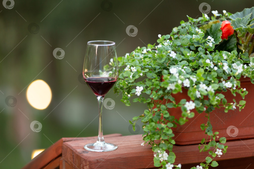 Скачать Бокал красного вина на пикнике возле цветочной клумбы, дегустация фотосток Ozero