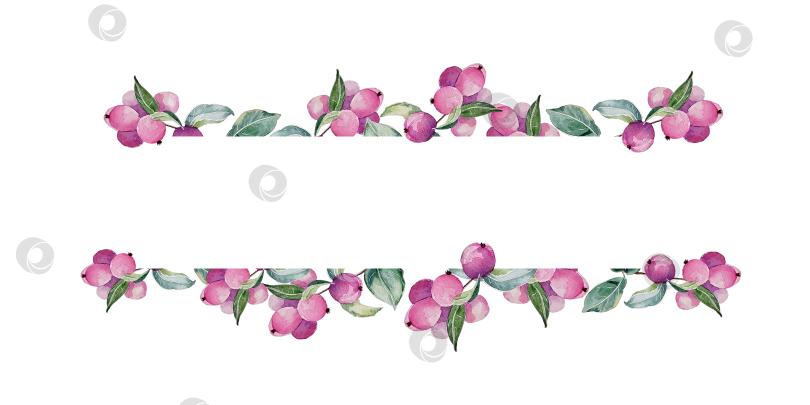 Скачать Рамка из бледно-розовых веток снежноягодника, расписанная вручную акварелью фотосток Ozero