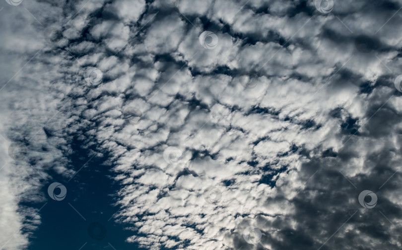 Скачать Облака на вечернем небе фотосток Ozero