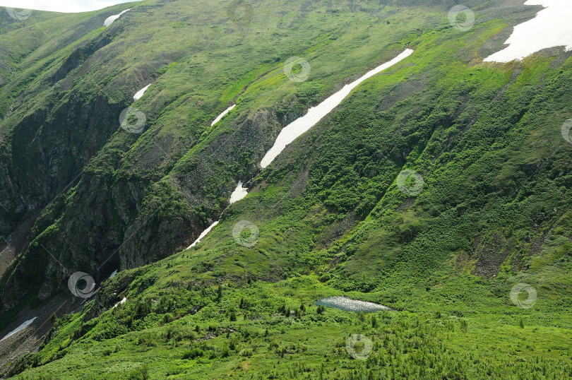 Скачать Небольшое озеро у склона высокой горы со скальными образованиями и остатками снега на вершине в пасмурный летний день. фотосток Ozero