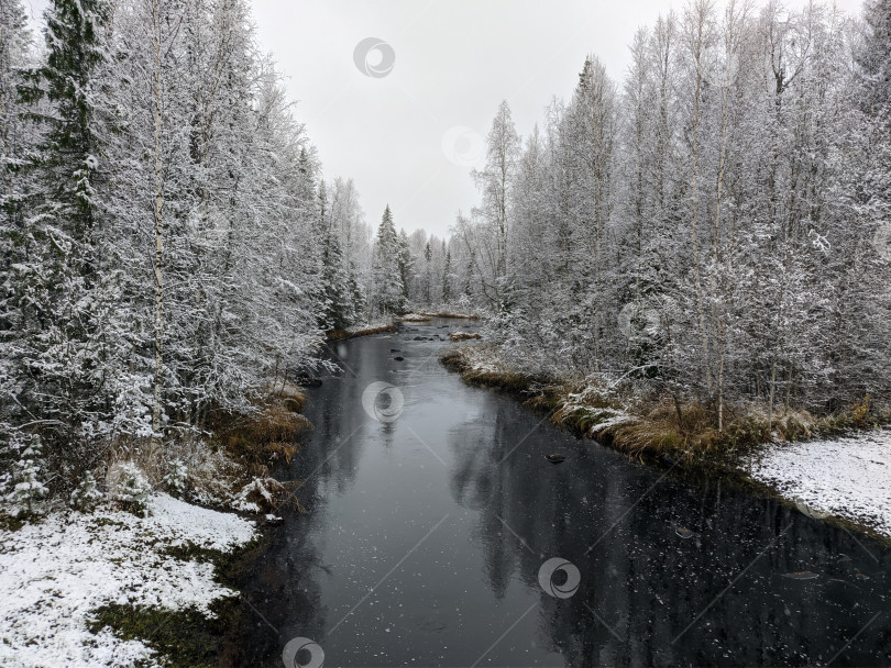 Скачать Торфяная река текущая сквозб снежный лес фотосток Ozero