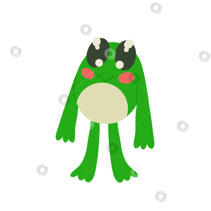 Скачать Симпатичная зеленая лягушка стоит на лапках. Векторная иллюстрация, выделенная на белом фоне. Элемент дизайна для оформления сайтов открыток и футболок. фотосток Ozero