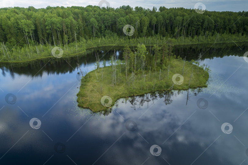 Скачать Озеро Кюукозеро фотосток Ozero