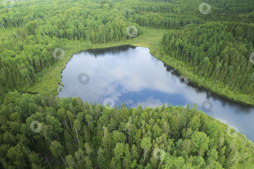 Скачать Озеро Кюукозеро фотосток Ozero