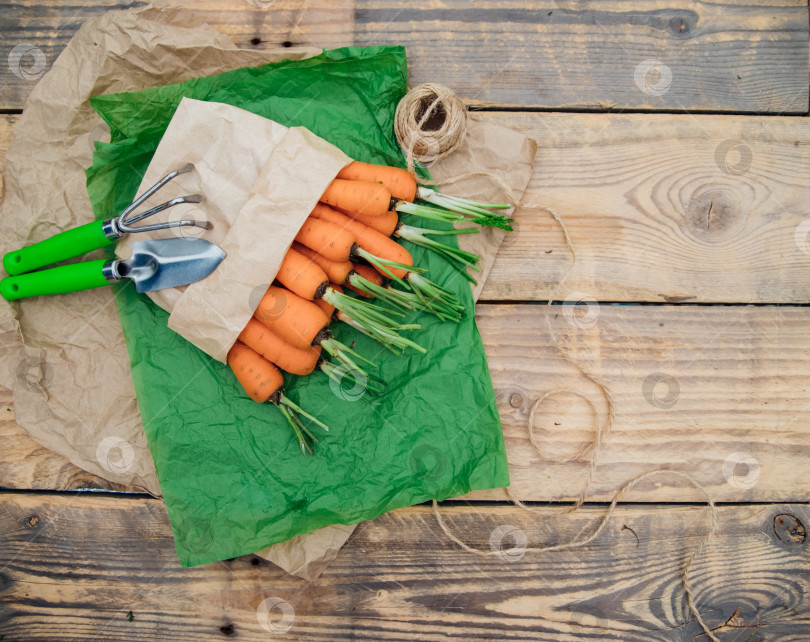 Скачать Свежая морковь в бумажном пакете на деревянном фоне. Овощи и корнеплоды - полезные витамины. Еда для вегетарианцев. Овощи домашнего приготовления, экологически чистые. Садовая лопата и грабли. фотосток Ozero