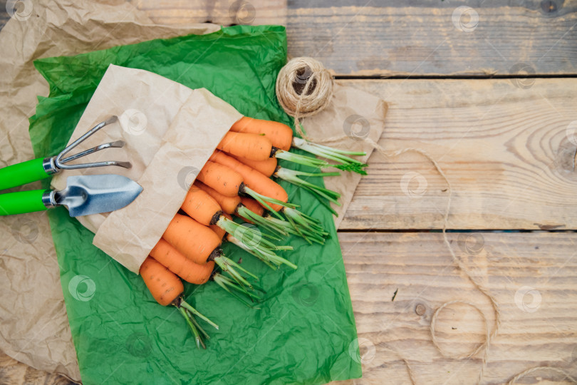 Скачать Свежая морковь в бумажном пакете на деревянном фоне. Овощи и корнеплоды - полезные витамины. Еда для вегетарианцев. Овощи домашнего приготовления, экологически чистые. Садовая лопата и грабли. фотосток Ozero