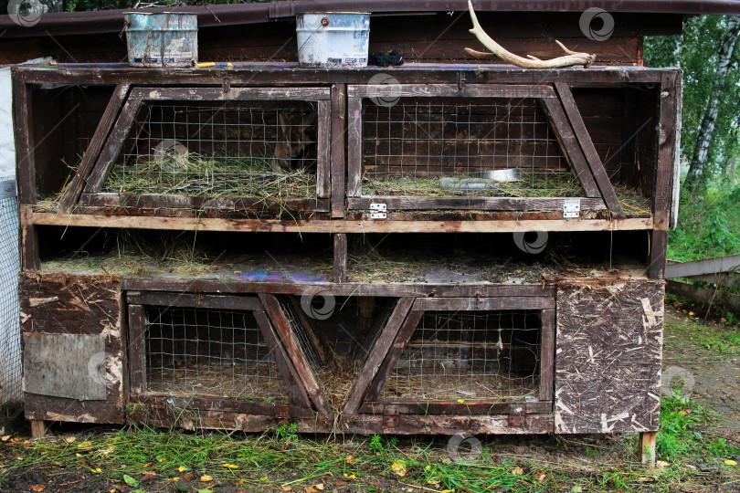 Скачать Фотография клетки с кроликами из деревенской жизни. фотосток Ozero
