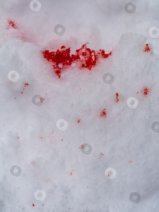 Скачать Снег в крови. Красные капли крови на белом фоне снега. Следы крови на снегу от раненой анимы фотосток Ozero