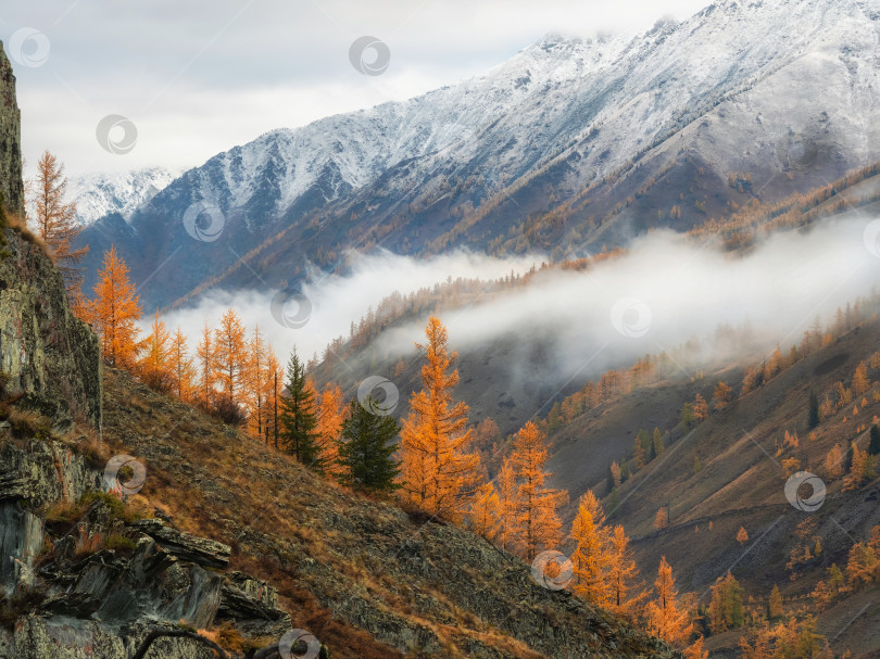 Скачать Диагональный каменистый крутой склон и лес в густом тумане. Каменные холмы фотосток Ozero