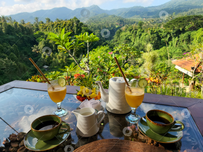 Скачать Кофе на красивой террасе, Сингараджа, остров Бали фотосток Ozero
