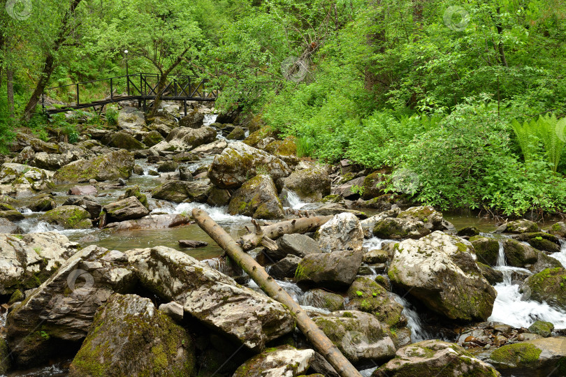 Скачать Поваленные стволы деревьев и большие камни в русле быстрого ручья, стекающего с гор через летний лес. фотосток Ozero