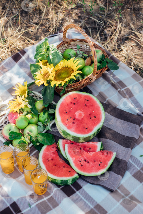 Скачать Концепция летнего пикника в солнечный день с арбузом, фруктами и букетом цветов подсолнуха. Корзинка с яблоками на траве и освежающий летний напиток на вязаном одеяле. фотосток Ozero