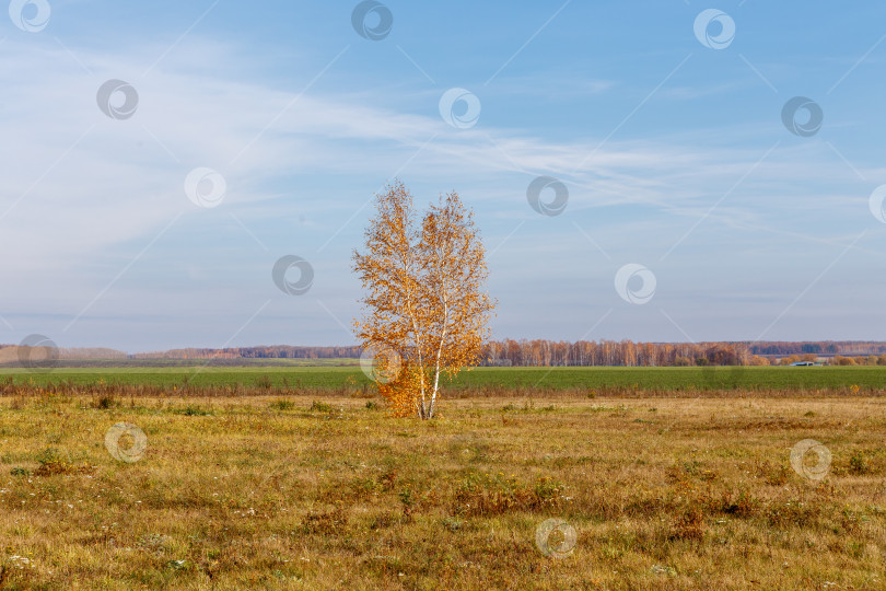 Скачать Осеннее поле фотосток Ozero