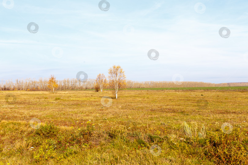 Скачать Осеннее поле фотосток Ozero