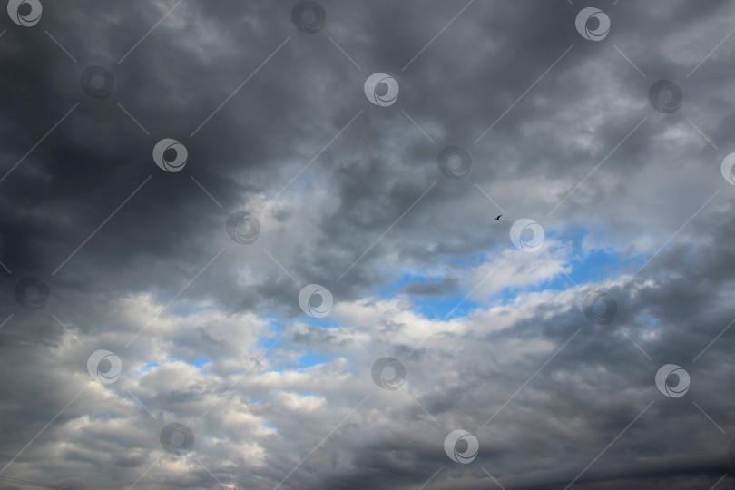 Скачать Небо с облаками,небо с облаками и солнцем фотосток Ozero