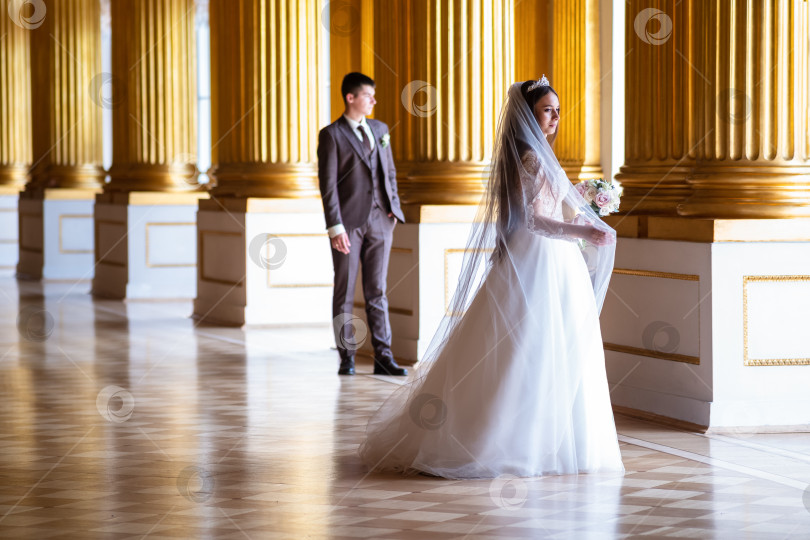 Скачать свадебная фотосессия в интерьерах Зимнего дворца в Санкт-Петербурге фотосток Ozero