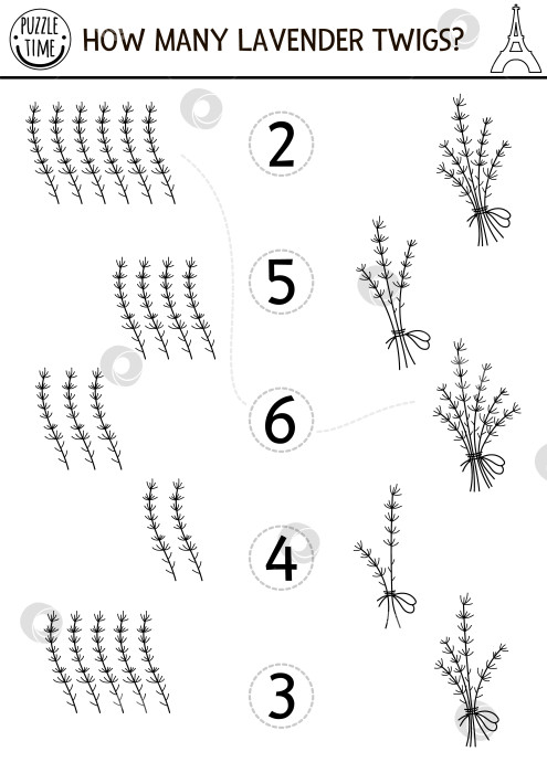 Скачать Игра "Подбери числа черным по белому" с букетом лаванды. Математическое занятие для детей с традиционным французским цветком. Обучающий лист для подсчета растений Франции. Сколько веточек на странице раскраски фотосток Ozero