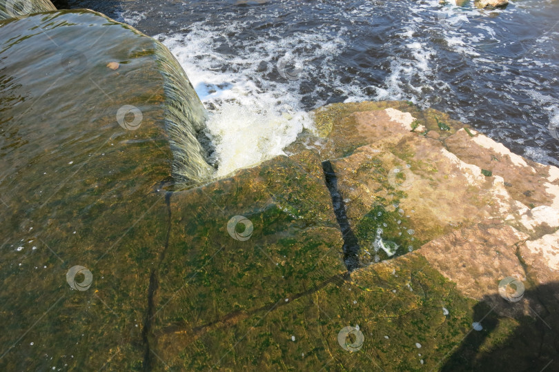 Скачать Ульянка, Россия, 16 июня 2023 года, водопад на реке Тосна. фотосток Ozero