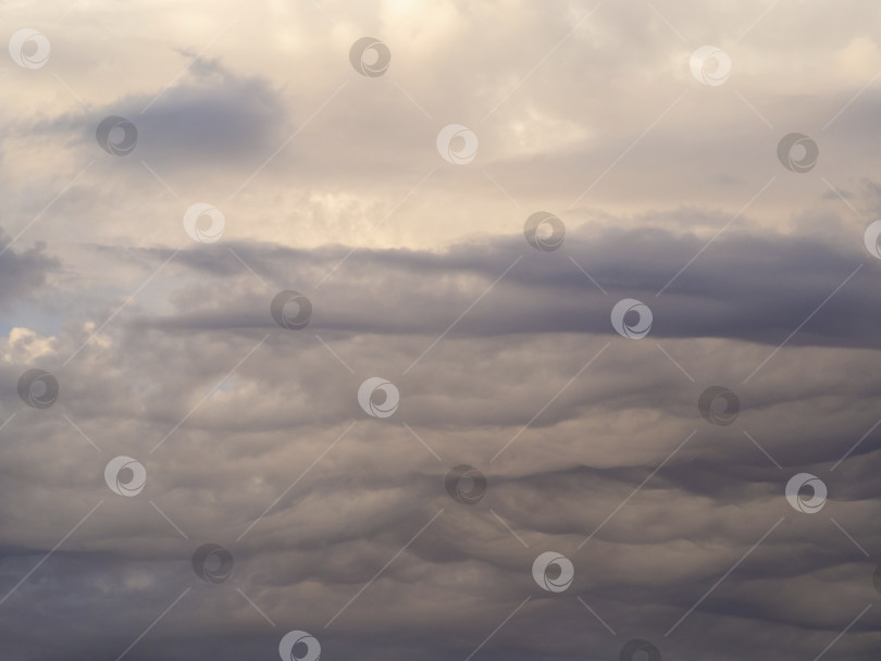 Скачать Серые кучевые облака покрывают небо сплошной волной. Красивое небо с хмурыми облаками летом ранним утром. Абстрактный естественный фон облаков фотосток Ozero