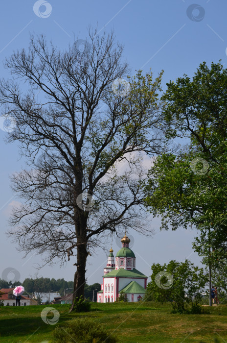 Скачать Церковь Илии Пророка в городе Суздаль Владимирской области, входящем в Золотое кольцо России фотосток Ozero