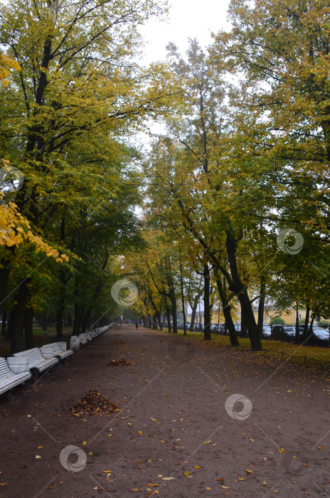 Скачать Осенний Александровский сад в Санкт-Петербурге фотосток Ozero