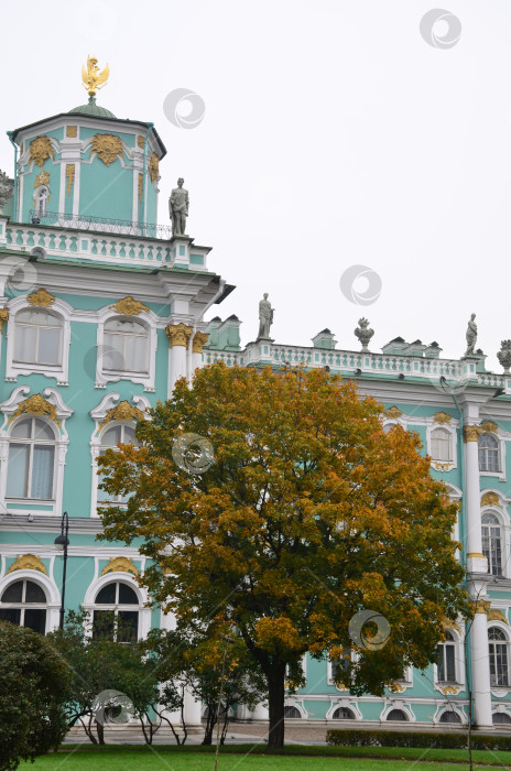 Скачать Зимний дворец (Эрмитаж) в Санкт-Петербурге в осенний день фотосток Ozero