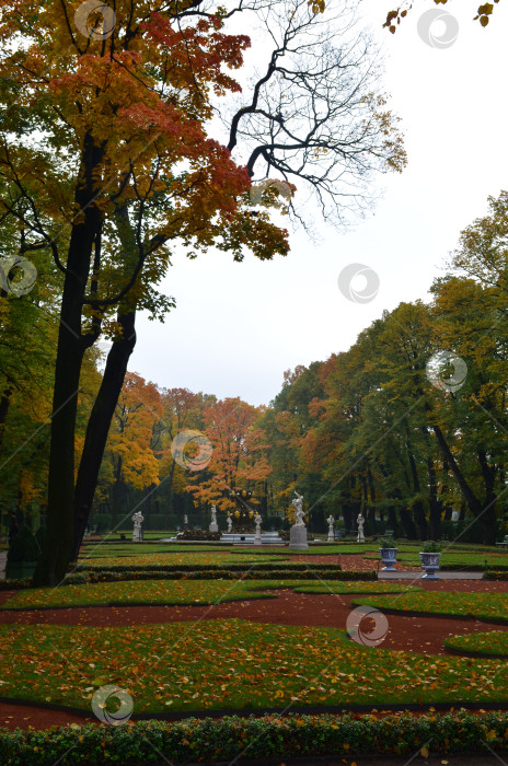 Скачать Осенний Летний сад в Санкт-Петербурге фотосток Ozero