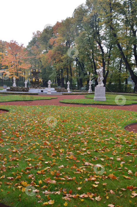 Скачать Осенний Летний сад в Санкт-Петербурге фотосток Ozero