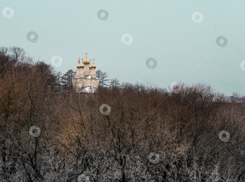 Скачать Рязанский кремль. Острожный холм. Церковь Преображения Господня на Яру. Церковь Спаса Преображения на Яру на фоне осенних деревьев. фотосток Ozero