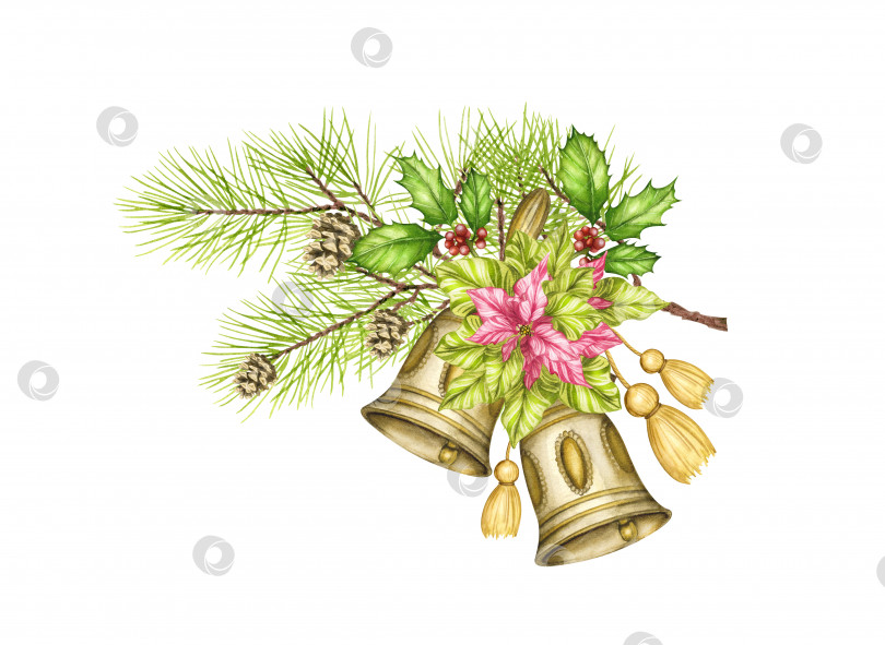 Скачать Акварельный рисунок от руки. Рождественский букет, новогодняя композиция с колокольчиком, листьями остролиста, еловой веткой и шишками. Художественный креативный реалистичный объект для праздничной упаковки, открытки, наклейки, обоев, флориста, блокнота. фотосток Ozero