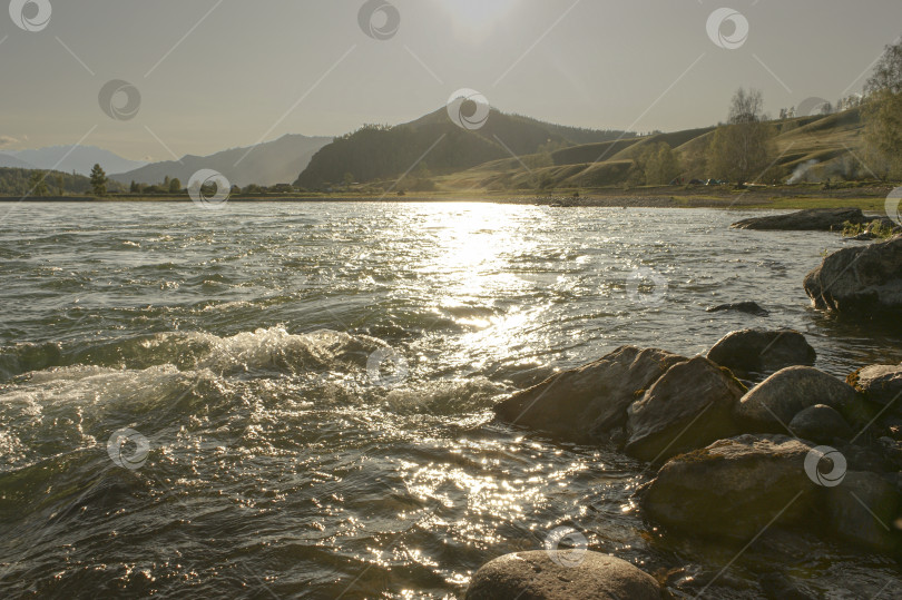 Скачать Бурные воды реки Катунь на закате. Зеленые горы и долина. Алтай. Сибирь. фотосток Ozero