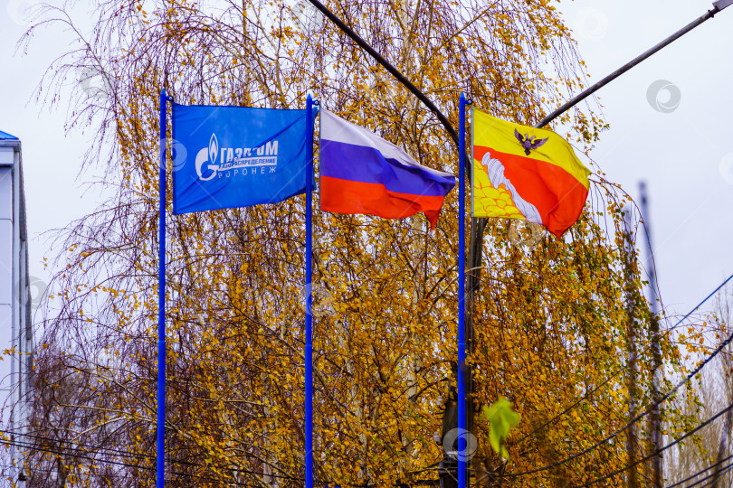 Скачать Флаги России, Газпрома и Воронежской области на флагштоках фотосток Ozero
