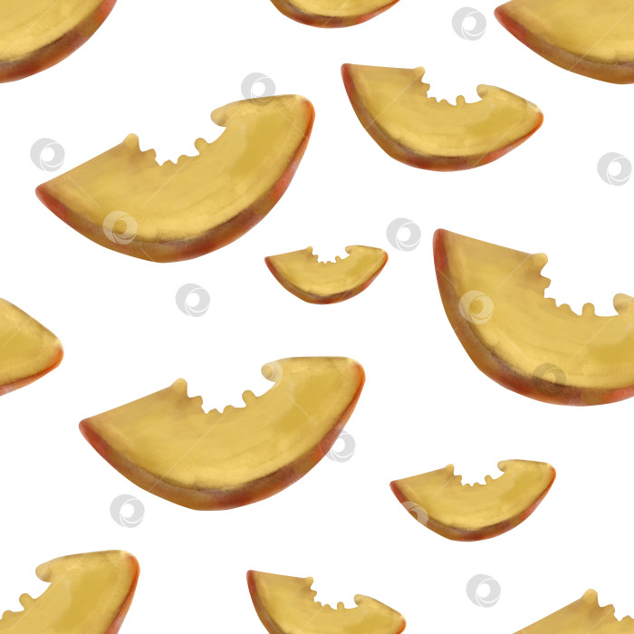 Скачать Акварельный бесшовный пищевой рисунок, ломтик спелого персика на белом фоне. Нарисованная от руки ботаническая иллюстрация фруктов, сочный нектарин фотосток Ozero