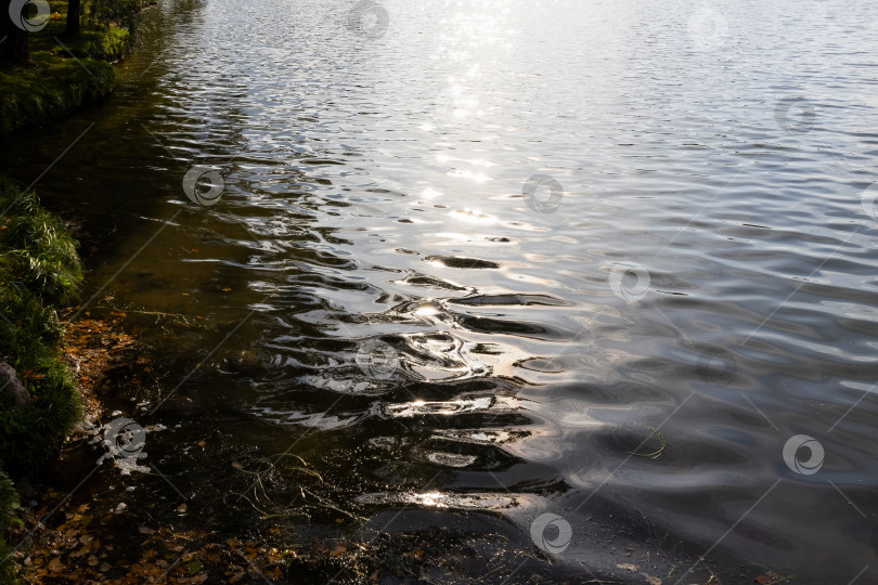 Скачать Рябь на воде озера, свет заходящего солнца фотосток Ozero