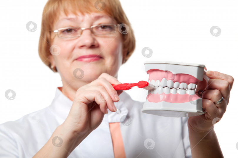 Скачать Стоматолог с зубным протезом для демонстрации фотосток Ozero