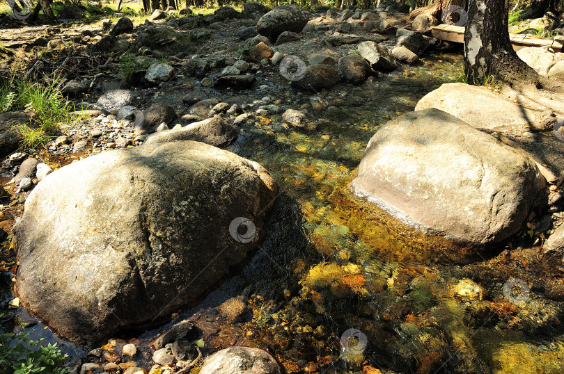 Скачать Большие камни в быстром русле неглубокой реки, текущей ранним вечером через осенний лес. фотосток Ozero