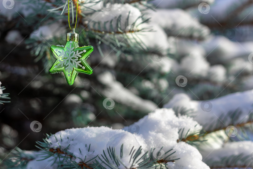 Скачать голубая рождественская елка, покрытая снегом и украшенная звездой-снежинкой, для празднования на открытом воздухе в зимний день. Открытка. Пространство для копирования. с Новым Годом. счастливого Рождества фотосток Ozero