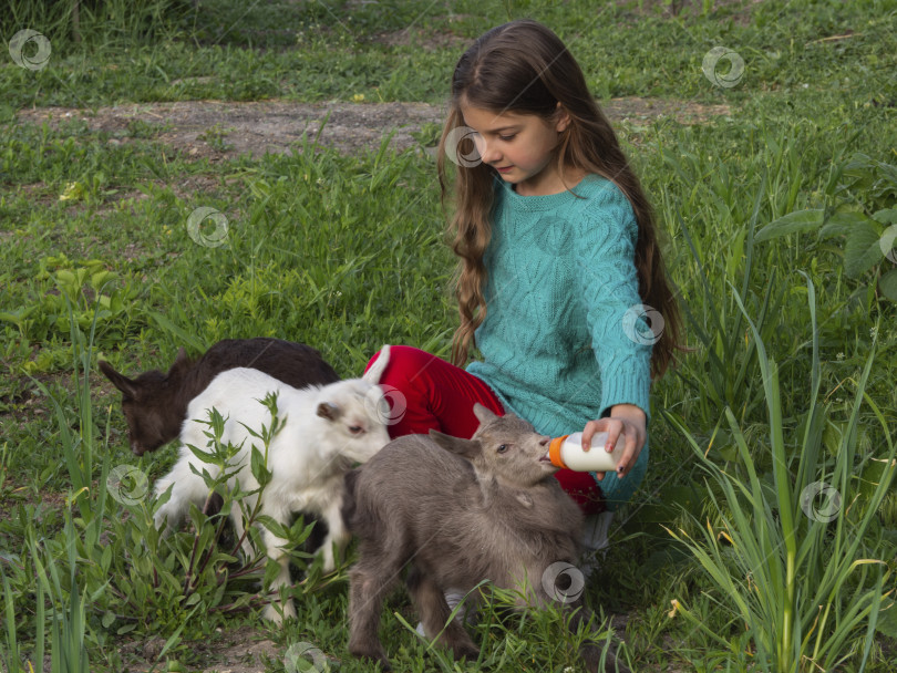 Скачать Девочка кормит козленка из бутылочки на зеленой лужайке. фотосток Ozero