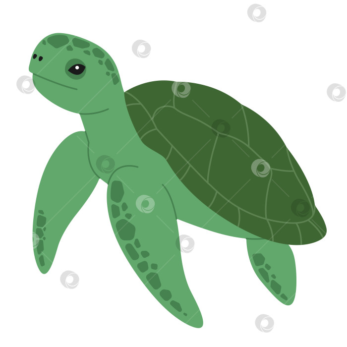Скачать Симпатичная зеленая черепаха. Морское и океаническое животное. Подводная жизнь. Детский характер черепахи. Векторная плоская иллюстрация, изолированная на белом фоне фотосток Ozero