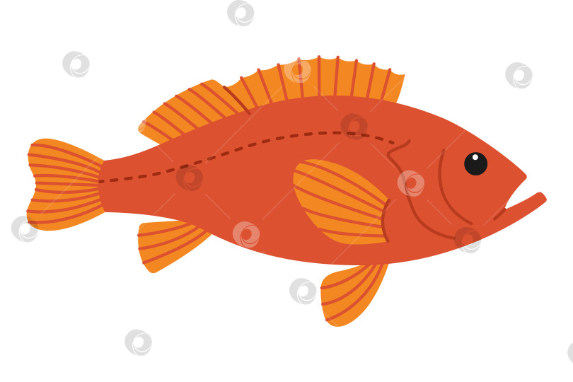 Скачать Симпатичный оранжевый морской окунь. Морская и океаническая рыба. Подводная жизнь. Детский характер морской рыбы. Векторная плоская иллюстрация, изолированная на белом фоне фотосток Ozero