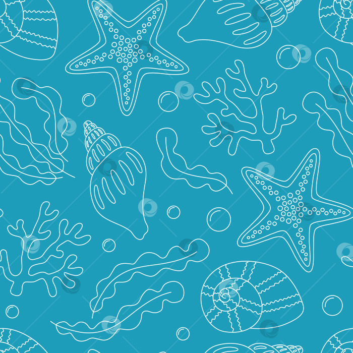 Скачать Бесшовный узор с морскими звездами, ракушками, водорослями и пузырьками. Контурные элементы белого моря на синем фоне. Подводная жизнь. Векторная иллюстрация фотосток Ozero
