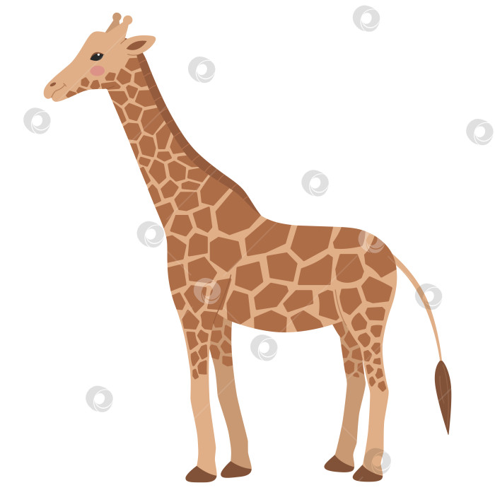Скачать Симпатичный жираф в полный рост стоит изолированно на белом фоне. Животное Саванны. Векторная иллюстрация в плоском мультяшном стиле для детей фотосток Ozero