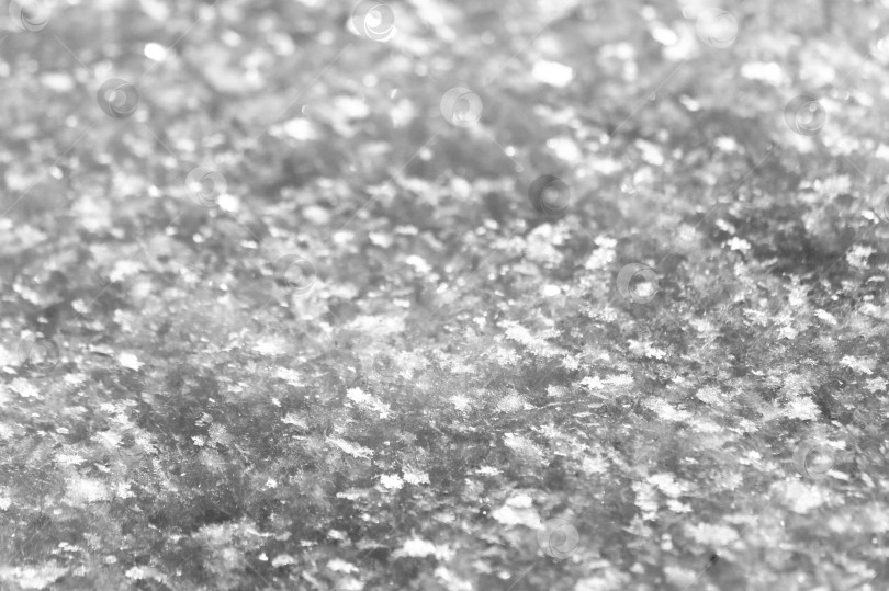 Скачать Snow texture close-up. background of fresh snowflakes фотосток Ozero