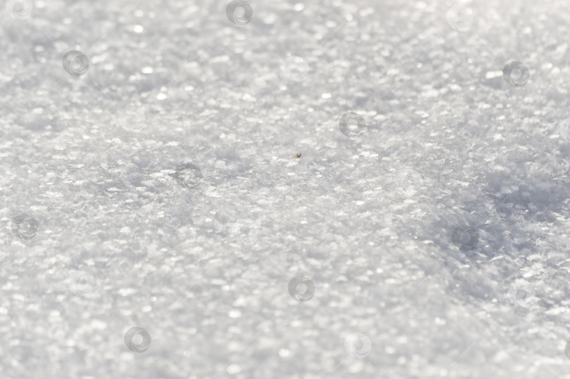 Скачать snow as a background. close-up of snowflakes фотосток Ozero