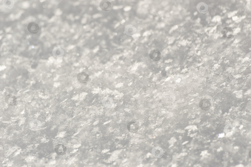 Скачать Snow texture. Natural background. Snowflakes close-up. фотосток Ozero