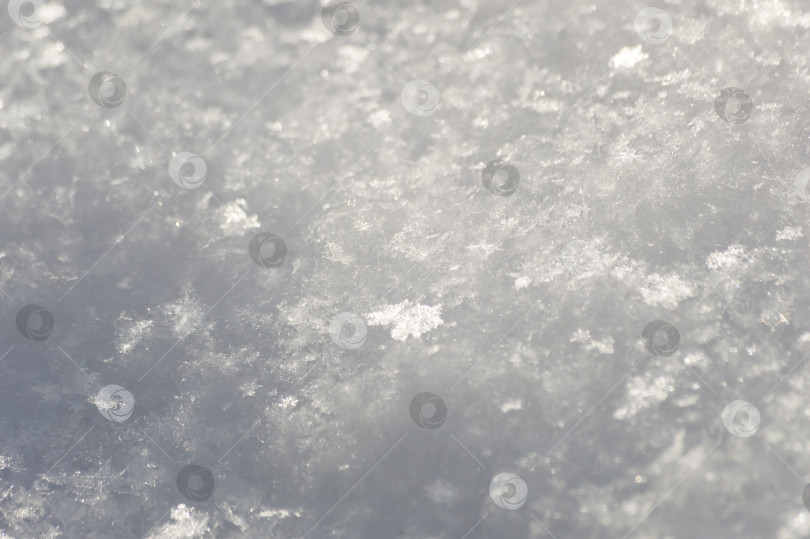 Скачать snow texture close up. natural background with snowflakes. macro фотосток Ozero